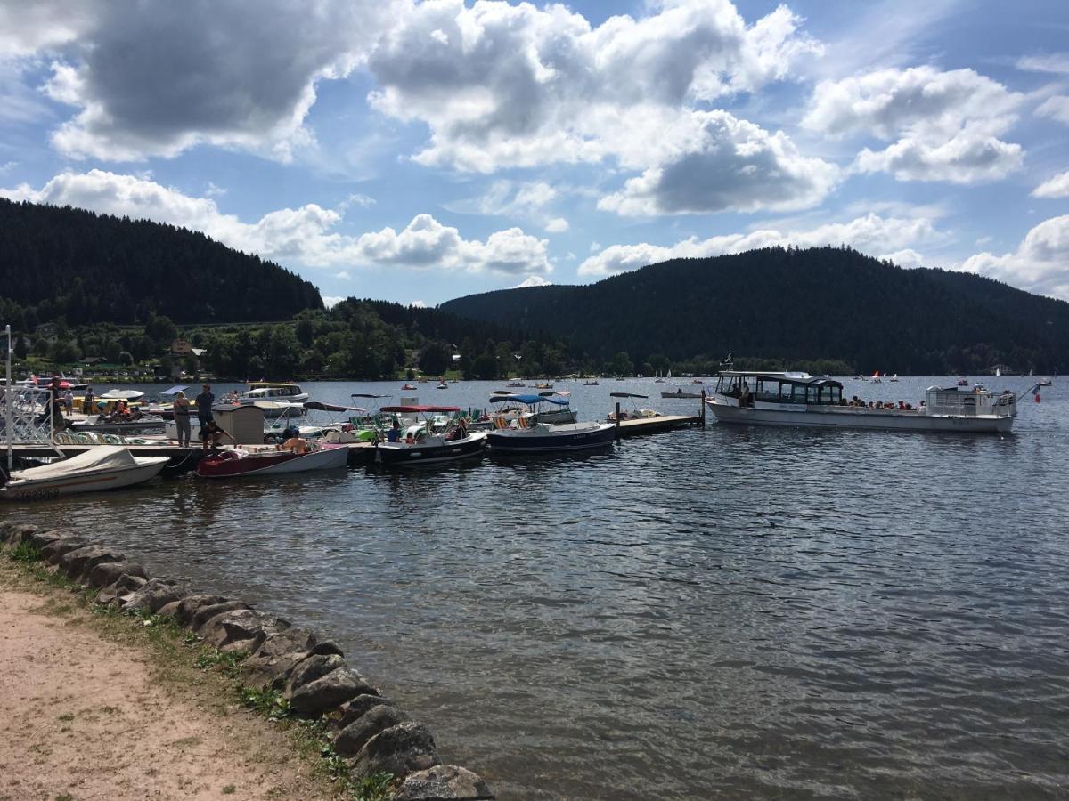 Gite Les Dryades Gérardmer Zewnętrze zdjęcie