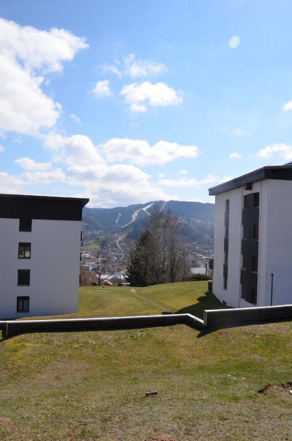 Gite Les Dryades Gérardmer Zewnętrze zdjęcie