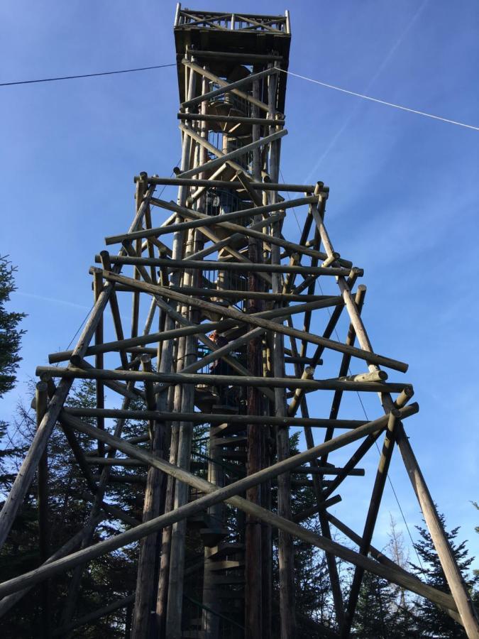 Gite Les Dryades Gérardmer Zewnętrze zdjęcie