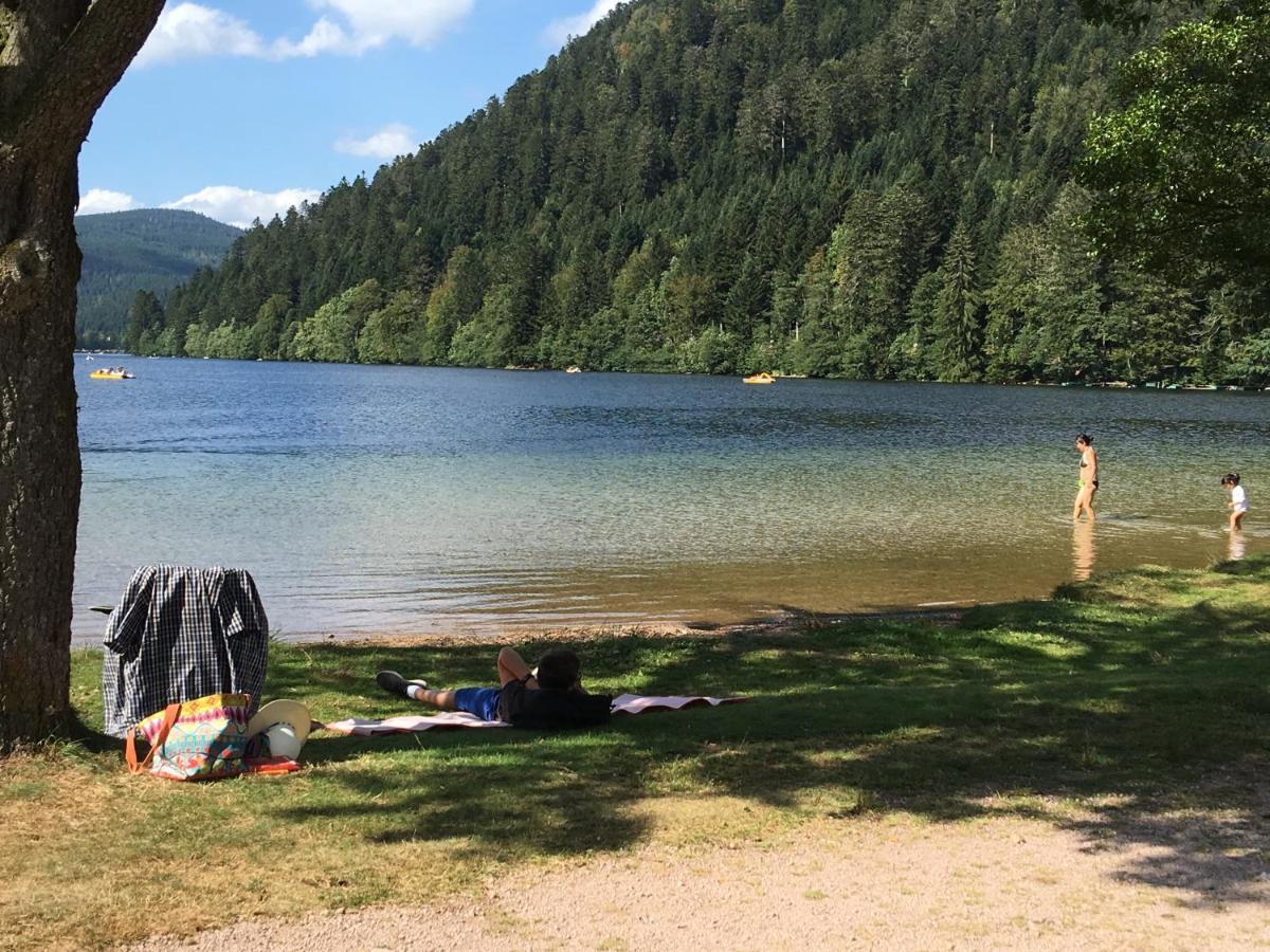 Gite Les Dryades Gérardmer Zewnętrze zdjęcie