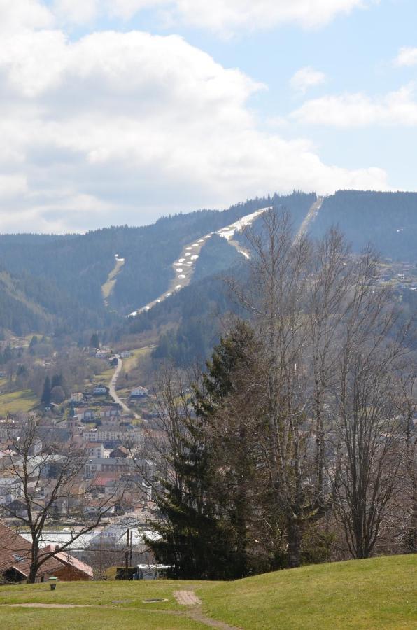 Gite Les Dryades Gérardmer Zewnętrze zdjęcie