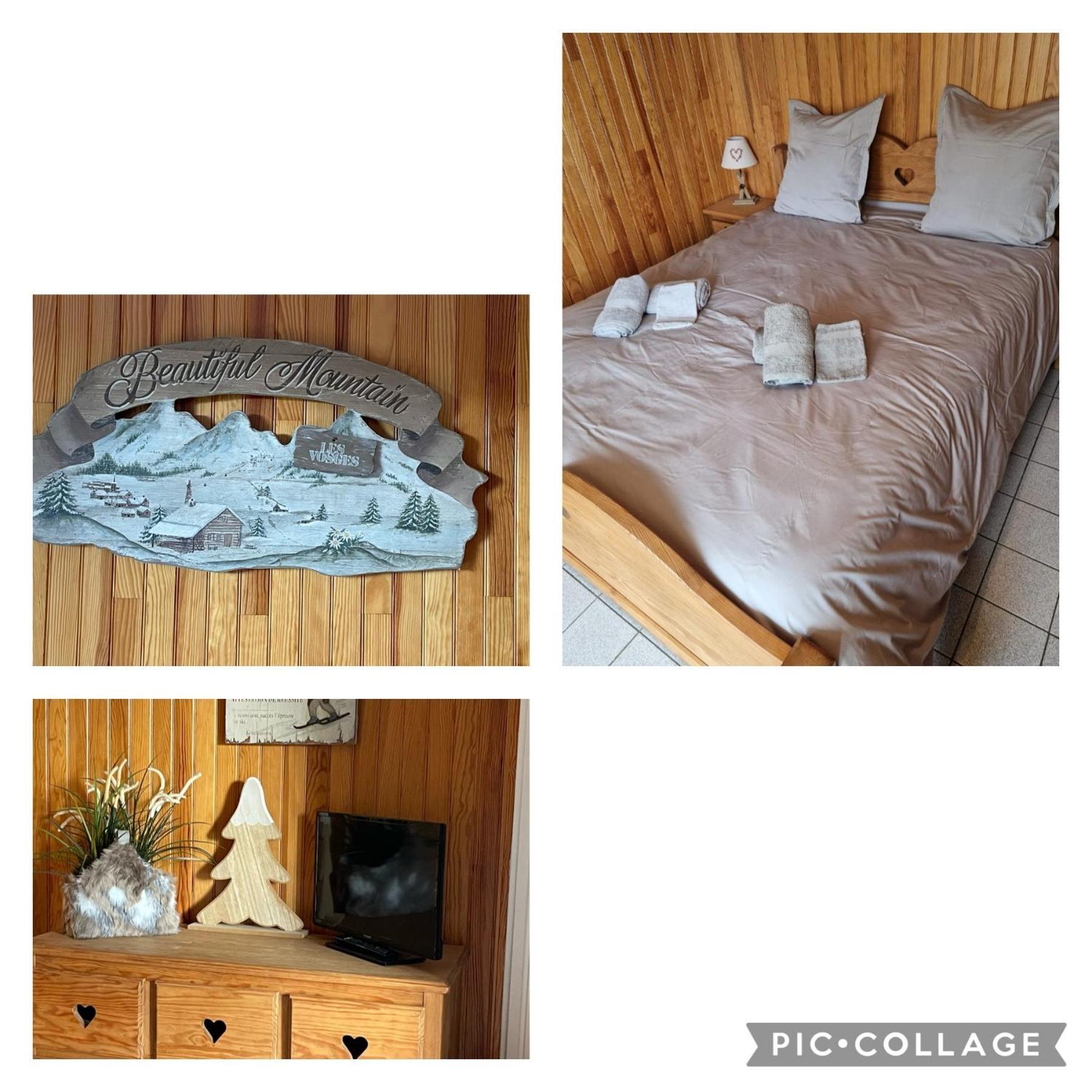 Gite Les Dryades Gérardmer Zewnętrze zdjęcie